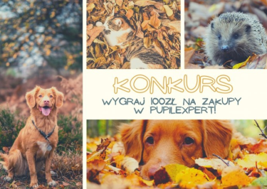 Konkurs fotograficzny "Jesienna Kartka z Kalendarza"