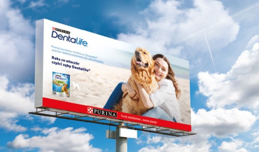 Konkurs "Purina® Dentalife® zostań twarzą kampanii billboardowej"