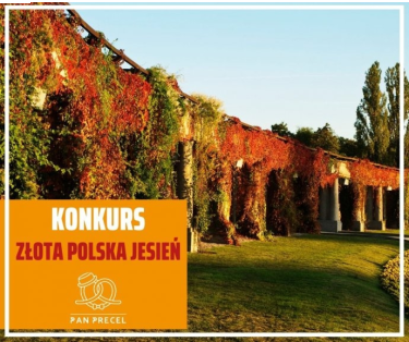 Konkurs fotograficzny od Pan Precel