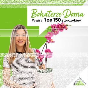 Konkurs fotograficzny "Storczyki" Leroy Merlin