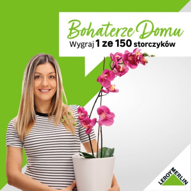 Konkurs fotograficzny "Storczyki" Leroy Merlin