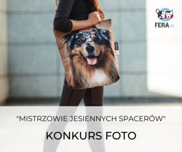Konkurs "Mistrzowie jesiennych spacerów"