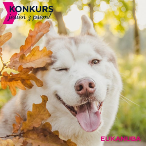 Konkurs "Jesień z psem"
