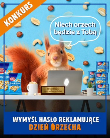 Konkurs "Dzień Orzecha"