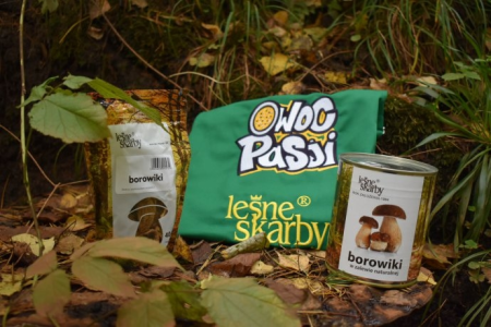 Konkurs "Borowiki na Święto Niepodległości"