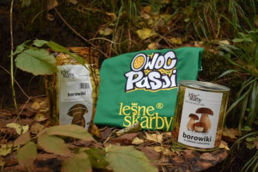 Konkurs "Borowiki na Święto Niepodległości"