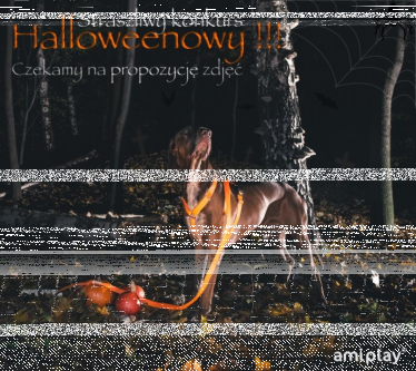 Straszliwy konkurs Halloweenowy