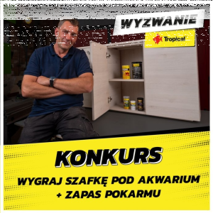 Konkurs z Darkiem stolarzem "#WyzwanieTropical"