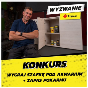 Konkurs z Darkiem stolarzem "#WyzwanieTropical"