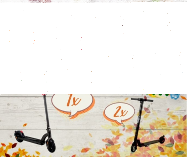 Konkurs "Jesienne śniadanie z Muszyna - Skarb Życia w domu"