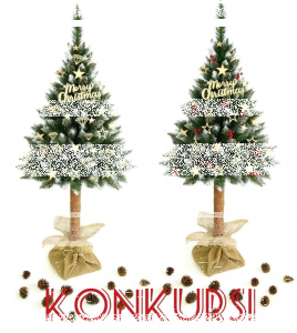 Wygraj sosnę diamentową na naturalnym pniu 180 cm