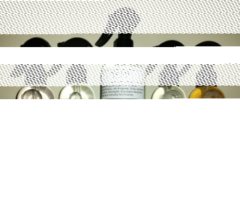 Konkurs od PHU Masters Service