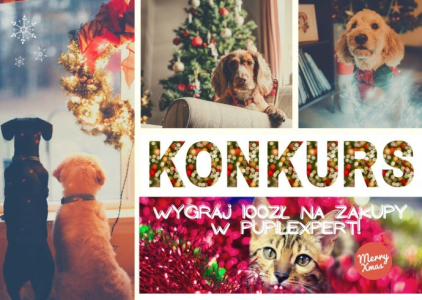 Konkurs "Mój pupil Świętym Mikołajem"