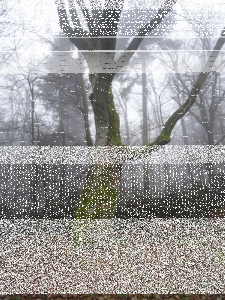 Konkurs "Grudzień 2020"