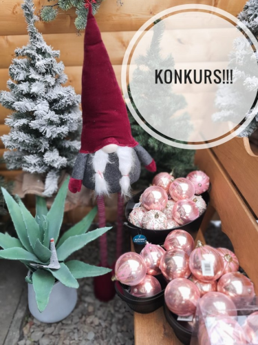 Konkurs "Mikołajkowy"