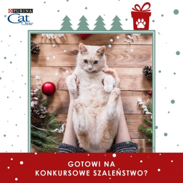 Konkurs "Kalendarz Cat Chow Purina"
