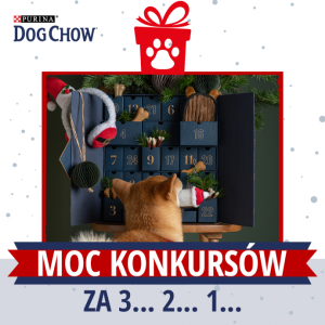 Konkurs "Kalendarz Dog Chow Purina"