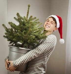 Wygraj choinkę w doniczce oraz zestaw bombek z logo RMF Classic!