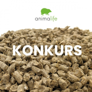 Wygraj 3 miesięczny zapas żwirku Animalife oraz niespodzianka