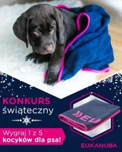 Konkurs świąteczny