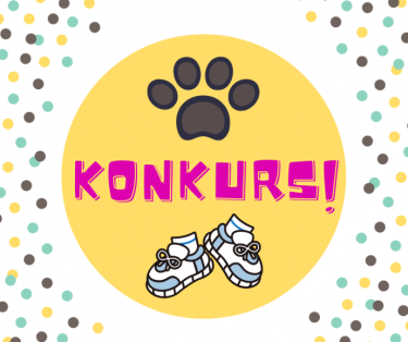 Gwiazdkowy Konkurs od Kot w bucie