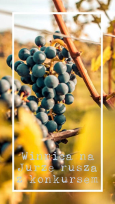 Konkurs "Towarzysz od wina" 18+
