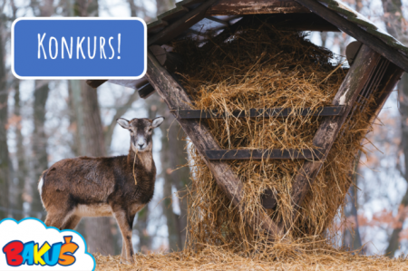 Konkurs "Pomoc zwierzętom w potrzebie"