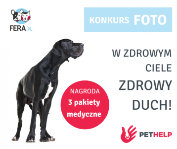 Konkurs "W zdrowym ciele zdrowy duch"