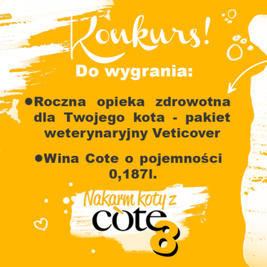 Konkurs fotograficzny "Wesprzyj akcję Nakarm koty z Cote 8 – adopciaki"