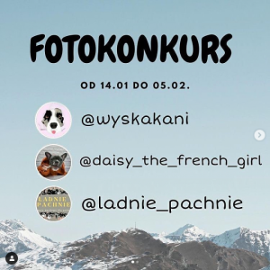 Konkurs fotograficzny: wygraj matę węchową dla zwierząt!