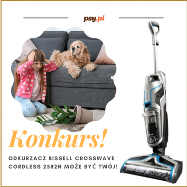Wygraj odkurzacz Bissell CrossWave Cordless 2582N