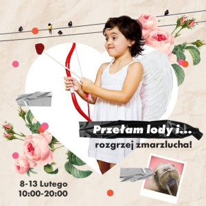 Kielce: Konkurs od Galeria Echo