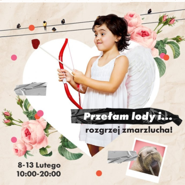 Kielce: Konkurs od Galeria Echo