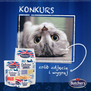 Konkurs "Dzień Kota zbliża się wielkimi krokami…"