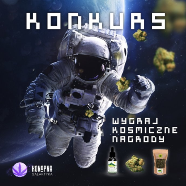 Konkursy z konopnymi nagrodami CBD