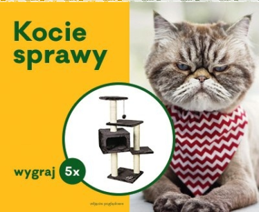 Konkurs fotograficzny "Kocie sprawy"