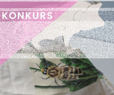 Konkurs od Magdalena Kocyk