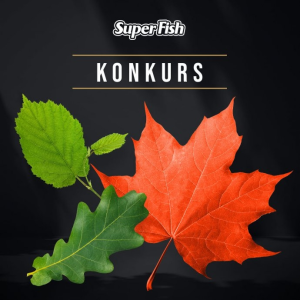 Konkurs "Znajdź nowego SuperFisha"