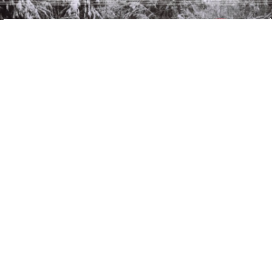 Konkurs "ZF AFTERMARKET #zawódmechanik TRW"