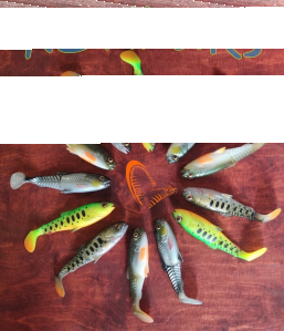 Konkurs "Max Fish Szczecin"