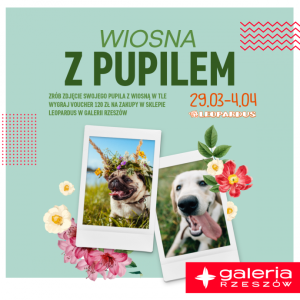 Konkurs  "Wiosna z PUPILEM"