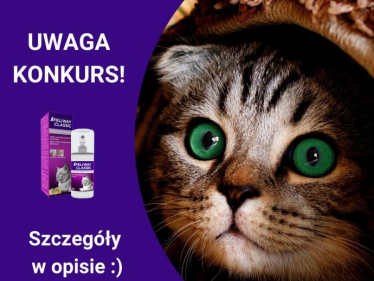 Konkurs "Feliway"