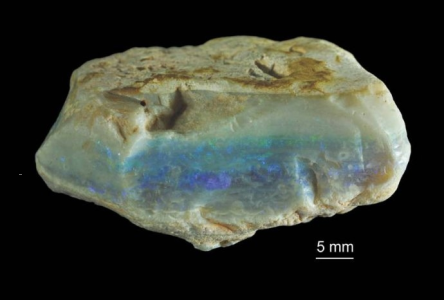 Konkurs "Kwietniowy"