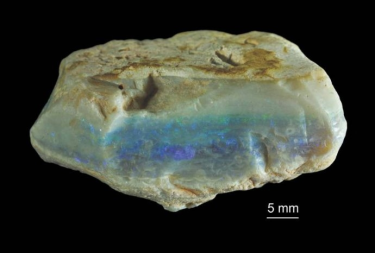 Konkurs "Kwietniowy"