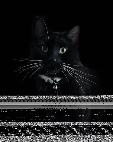 Konkurs "Joanna Wiosenny Rytuał Pielęgnacji Włosów"