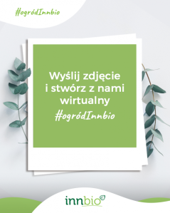 Konkurs "Kreatywność na zielono"