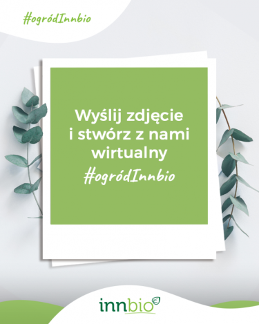 Konkurs "Kreatywność na zielono"