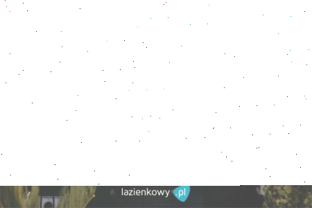 Konkurs "Nasze łazienki 2021" XIII edycja