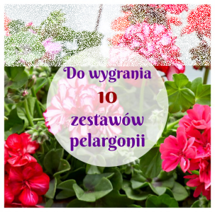 Konkurs od Zielony ogródek