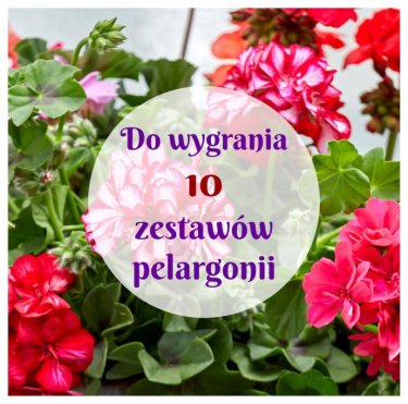 Konkurs od Zielony ogródek